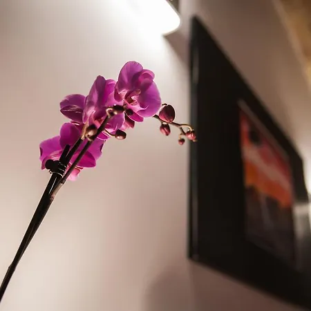 Chroma Italy - Chroma Trastevere Apartman